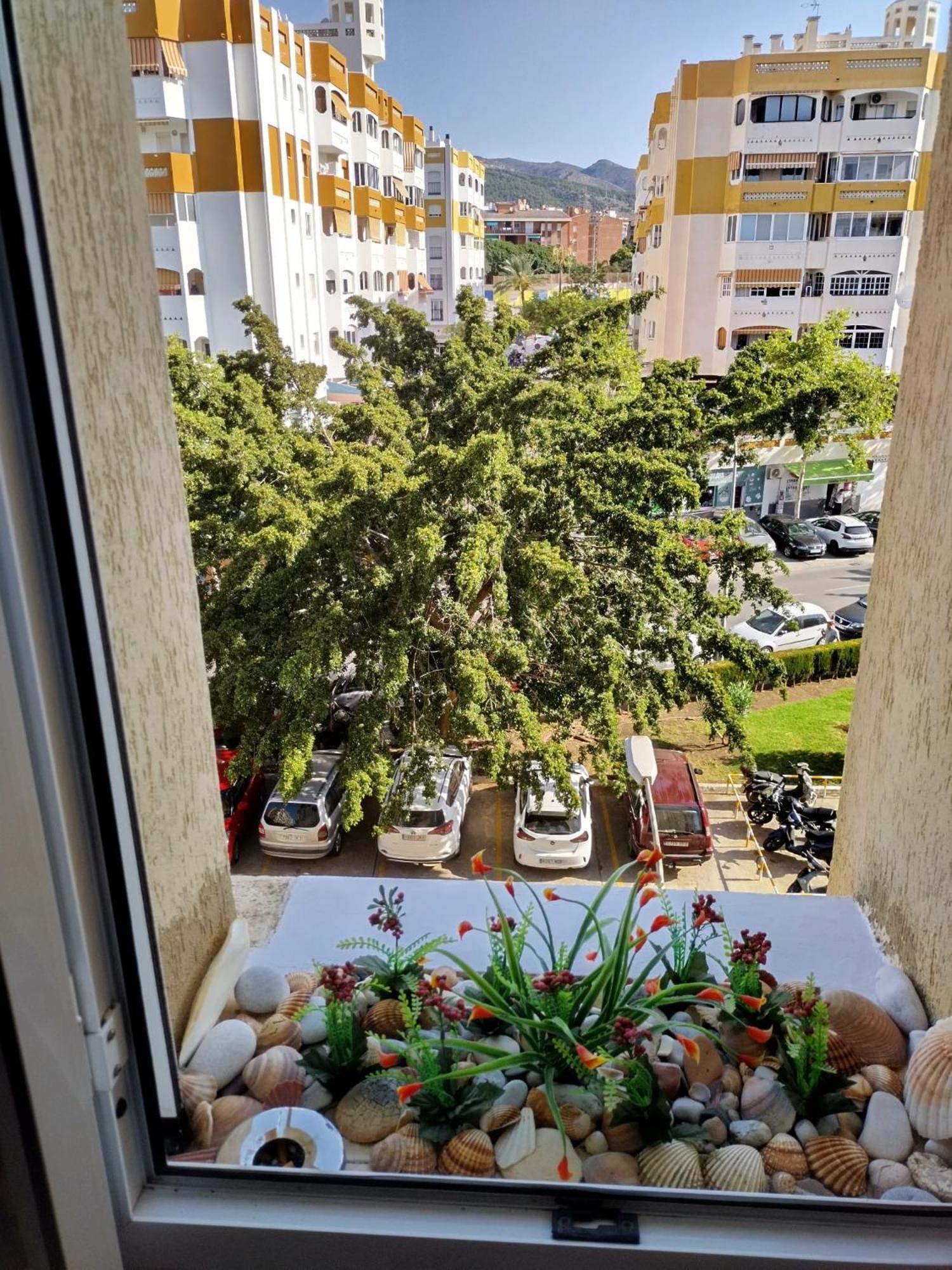 Apartment Helena 베날마데나코스타 외부 사진